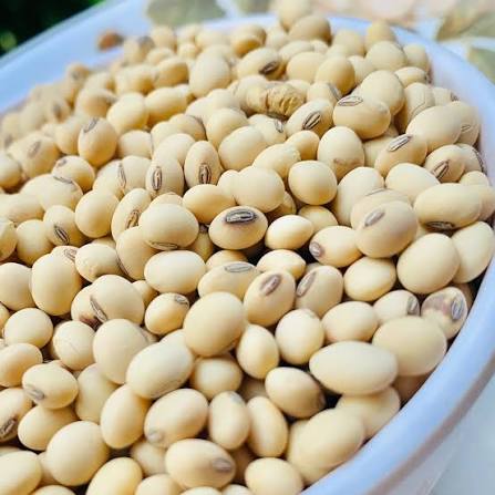 Soybeans